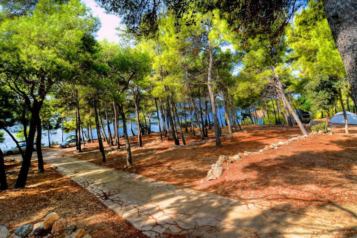 Campings Dalmatië - Een prachtige camping midden in de dennenbossen en direct aan zee. © camping.info