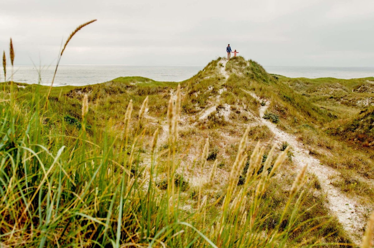 Denemarken Accommodatie te huur Natuur